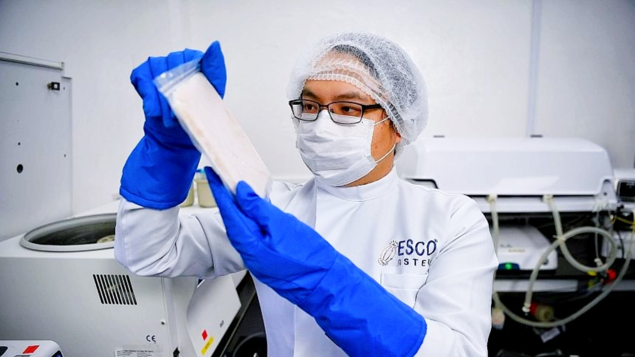 More Eyeing a Bite of Alternative Meats Sector