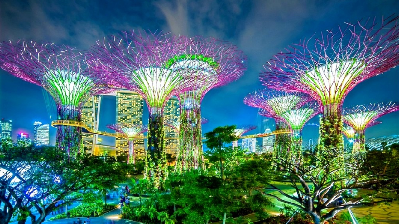 These 4 Singaporean Companies Are Changing Healthcare as We Know It